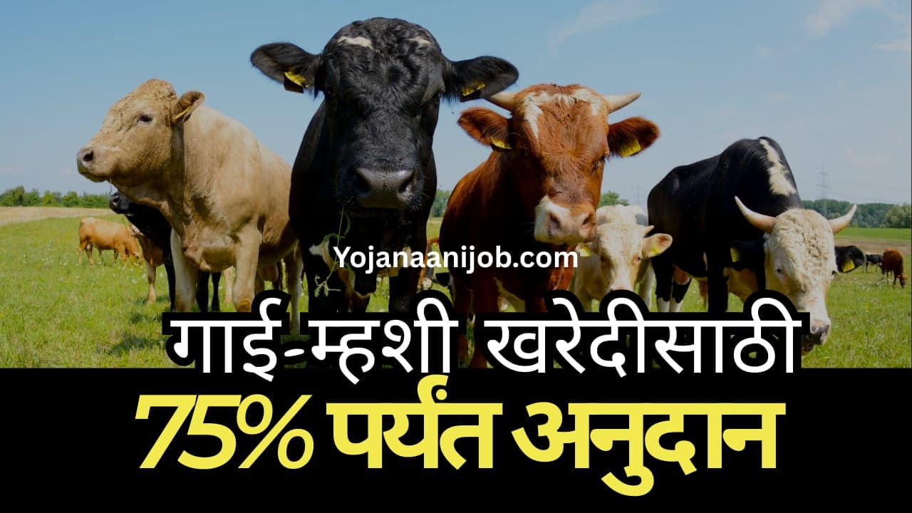 Gay mhais vatap yojana online registration